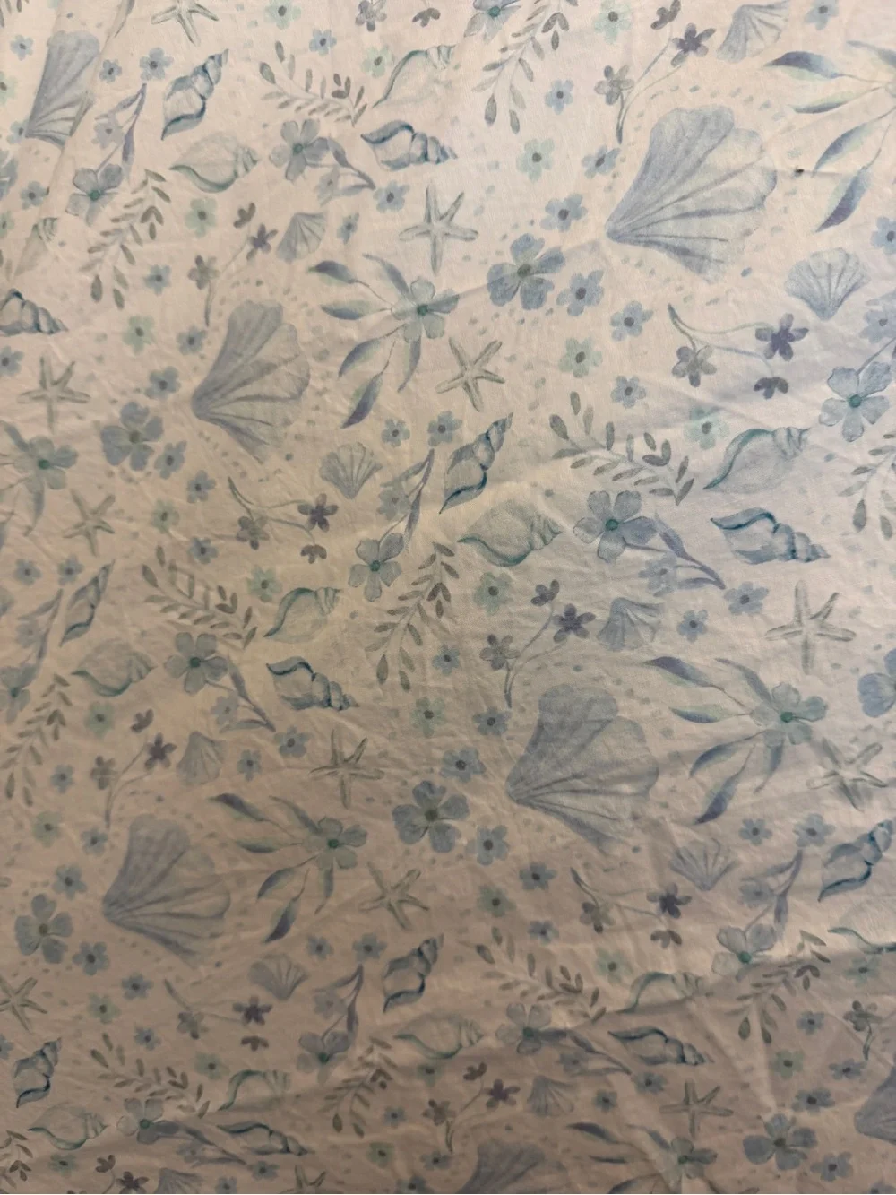 Pottery Barn Light Blue Floral sheets